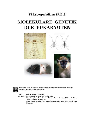 Skript - Institut für Molekulargenetik - Johannes Gutenberg ...