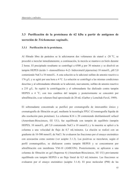 Evaluación de la inmunogenicidad y la capacidad protectora de la ...