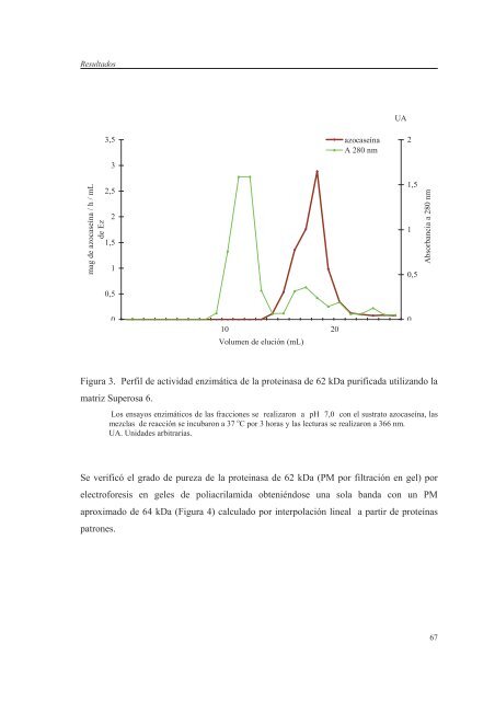 Evaluación de la inmunogenicidad y la capacidad protectora de la ...