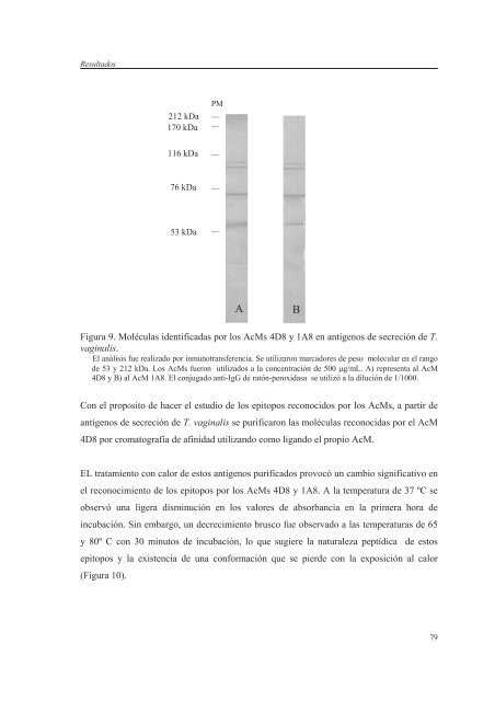 Evaluación de la inmunogenicidad y la capacidad protectora de la ...