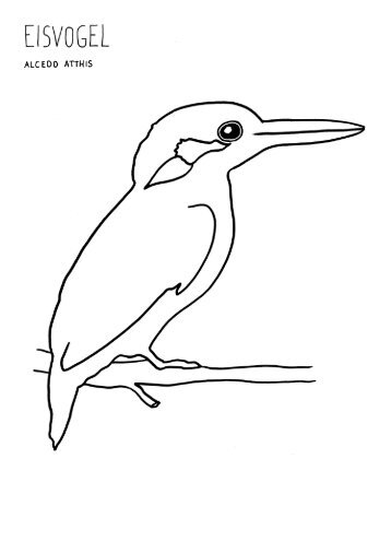 Gratis Malvorlagen Eisvogel Grossvormat Coloring And Malvorlagan