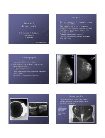 Session 5 Gyneco scr..