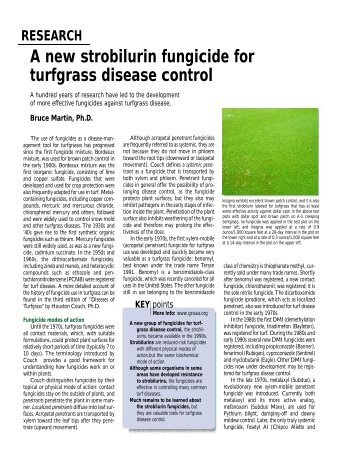 A new Strobilurin fungicide for turfgrass disease control - GCSAA