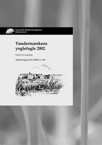 Tøndermarskens ynglefugle 2002