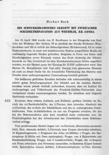 Herbert Bach EIN SCHNURKERAMISCHES SKELETT MIT ...