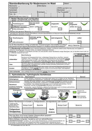 Standardkartierung für Niedermoore im Wald - DSS-WAMOS