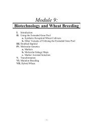 Module 9-Biotechnology and Wheat Breeding.pdf