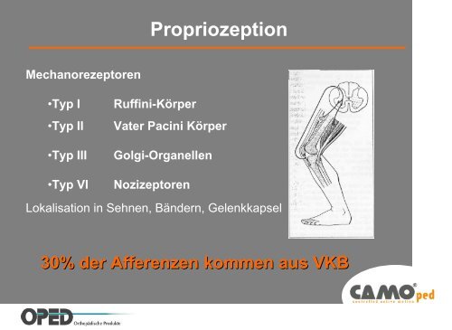 Propriozeption Was können wir tun? - VACOped