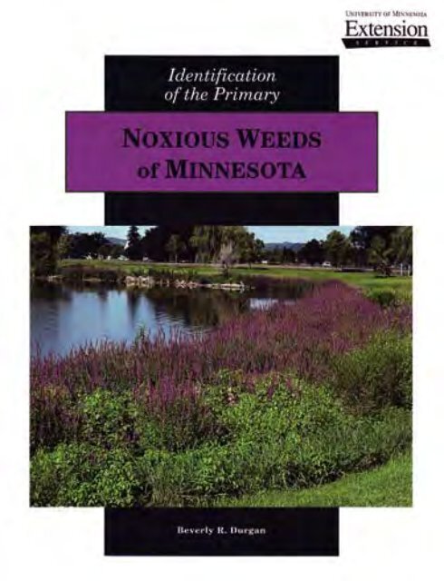 Identification of the Primary Noxious Weeds of Minnesota - City of ...