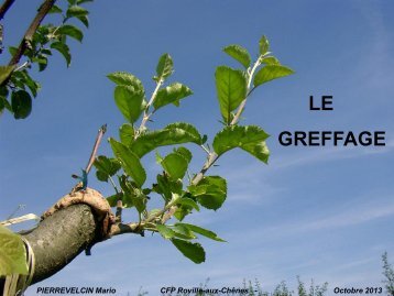 1 ère partie: Généralités sur le greffage - Webnode