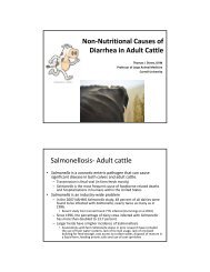 Non-Nutritional Causes of Diarrhea in Adult Cattle Salmonellosis ...