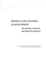 modelle zum schlüssel- schloss-prinzip - Staatliches Seminar ...