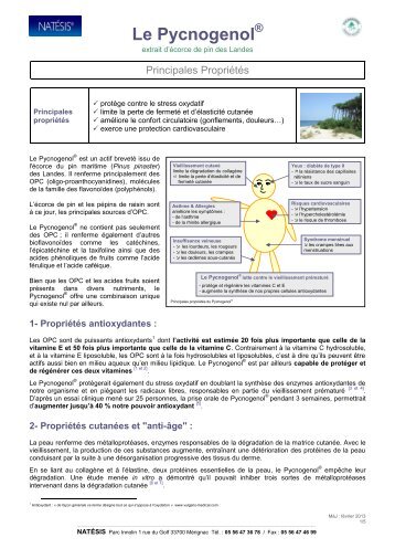 Synthèse des propriétés du Pycnogenol - Natesis.com