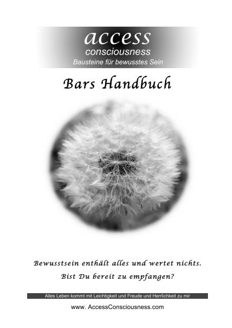 Bars Handbuch