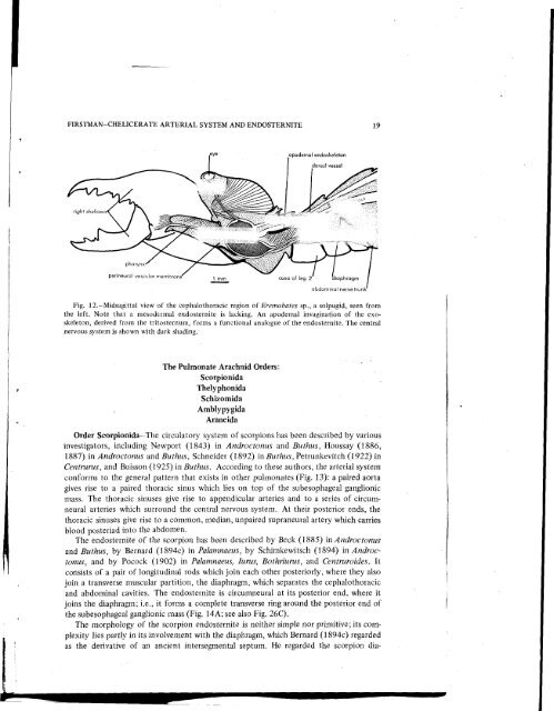 THE RELATIONSHIP OF THE CHELICERATE ARTERIAL SYSTEM ...