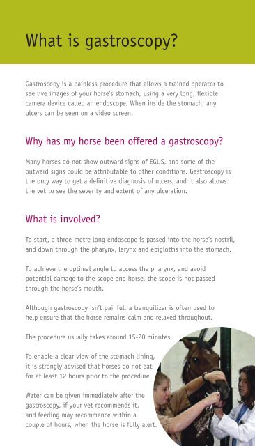 Gastric Ulcers Information Leaflet - Equine Gastric Ulcers