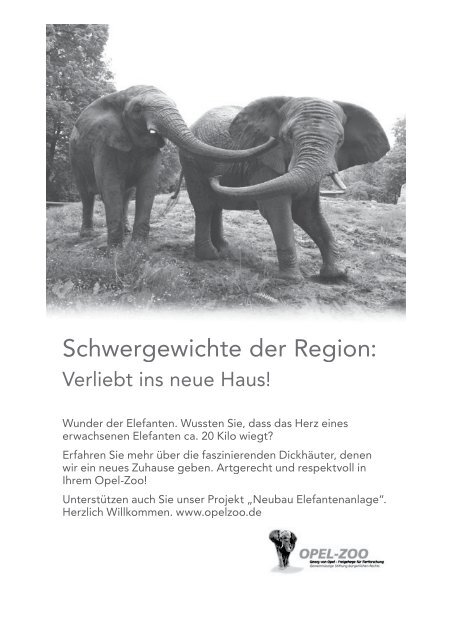 Das Festbuch 2013 als pdf-Datei - des Burgverein Königstein eV