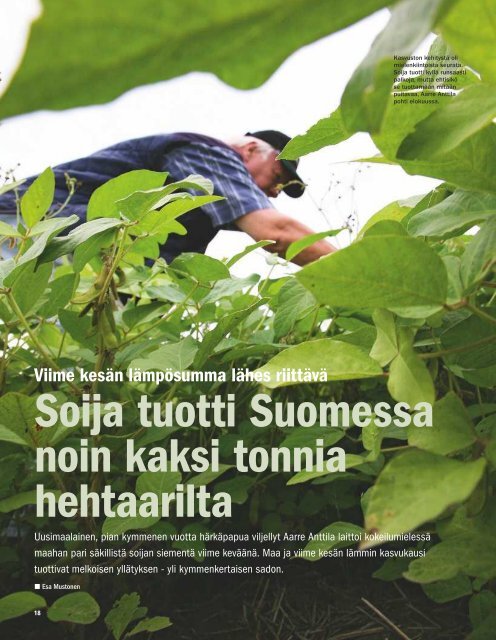 "Soija tuotti Suomessa noin kaksi tonnia hehtaarilta", Aarre Anttila ...