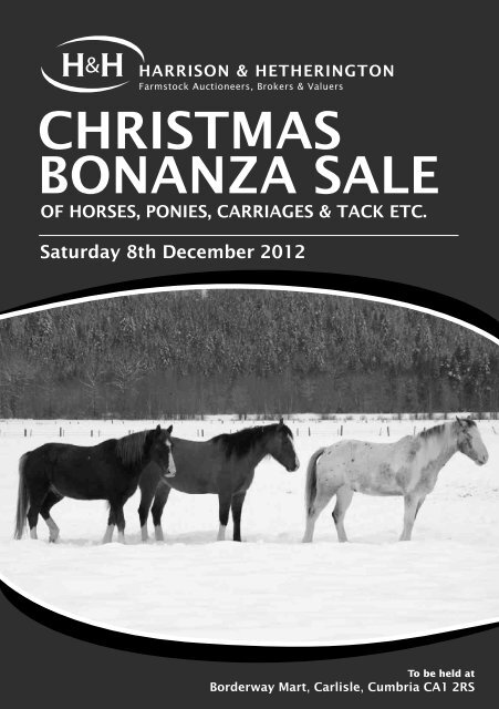 ChRiStMAS BONANZA SALE - Harrison & Hetherington