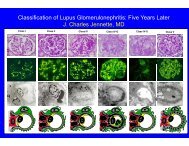 Classification of Lupus Glomerulonephritis: Five Years Later