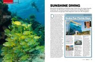 SunShine Diving