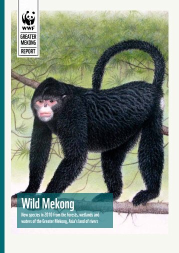 Wild Mekong: New species in 2010 from the - WWF