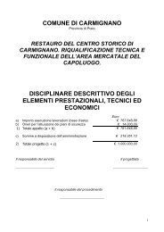 disciplinare descrittivo