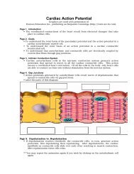 Cardiac Action Potential - Adam.com