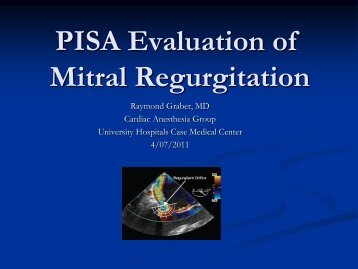 PISA Evaluation of MR - Casecag.com