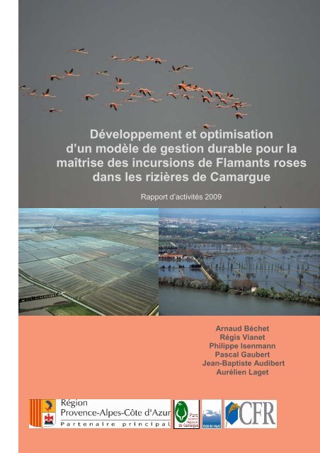 MaÃ®trise des incursions de flamants roses dans les ... - Tour du Valat