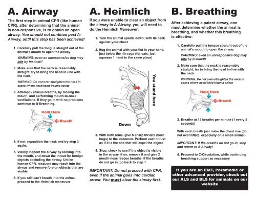 Canine CPR Chart