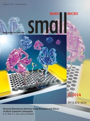 Electrical Biomolecule Detection Using Nanopatterned ... - KAIST