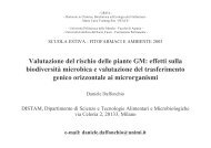 D.Daffonchio - Gruppo di Ricerca Italiano Fitofarmaci e Ambiente