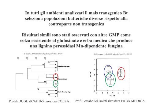 D.Daffonchio - Gruppo di Ricerca Italiano Fitofarmaci e Ambiente