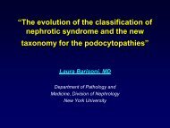 âThe evolution of the classification of nephrotic syndrome and the ...
