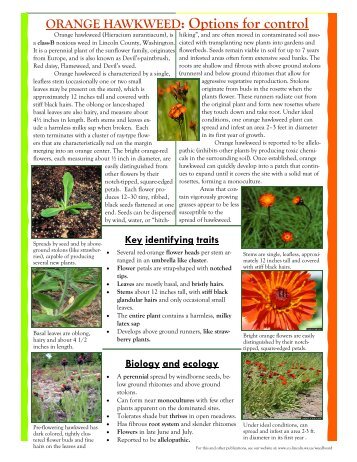 ORANGE HAWKWEED: Options for control - Lincoln County