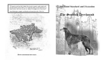 Illustrated Standard - Scottish Deerhound Club of America