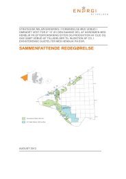 Sammenfattende redegÃ¸relse