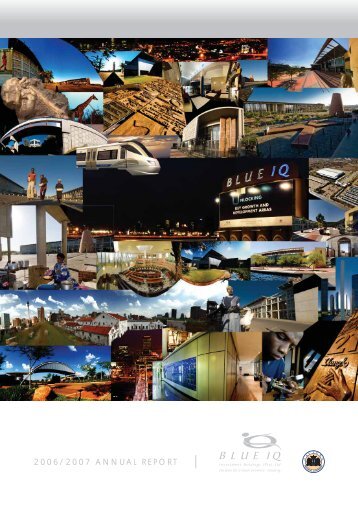 Blue IQ Annual Report 2006-2007 - Gauteng Online