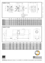 Catal. 75-300 4lingue 06 - Negri Bossi