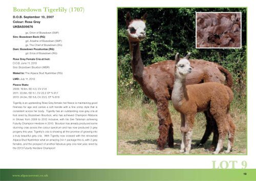 alpaca classic 2013 - Harrison & Hetherington