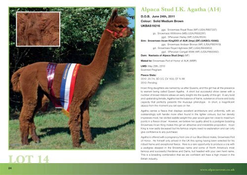 alpaca classic 2013 - Harrison & Hetherington