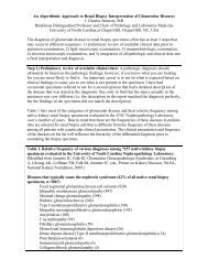 An Algorithmic Approach to Renal Biopsy Interpretation of ...