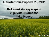 Kokemuksia syysrapsin viljelystÃ¤ Suomessa, Ilkka Kouvo, viljelijÃ¤