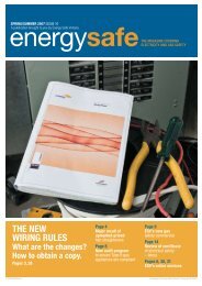 the new wiring rules (pdf) - Energy Safe Victoria