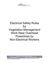 Electrical Safety Rules for Vegetation Management Work Near