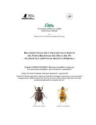 Relazione insetti - Parco del Delta del Po