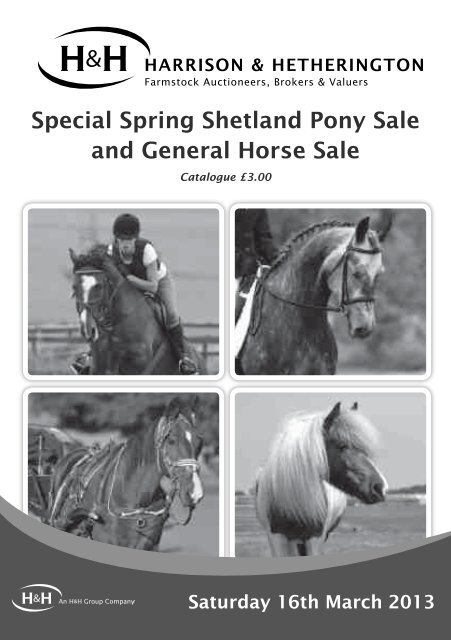 Special Spring Shetland Pony Sale and General Horse Sale