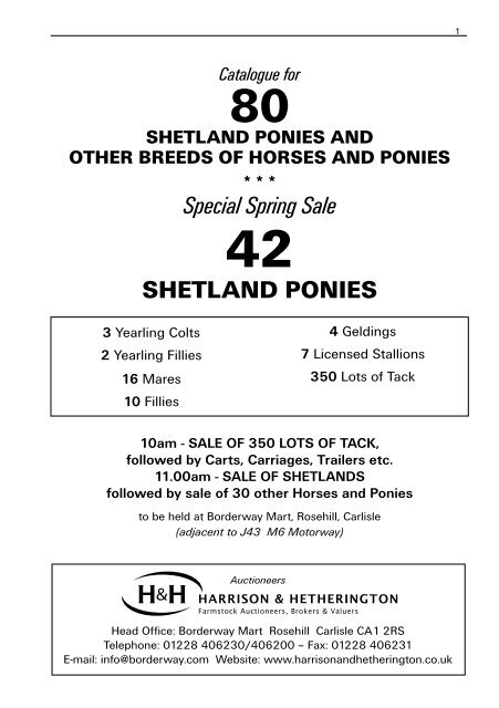 Special Spring Shetland Pony Sale and General Horse Sale