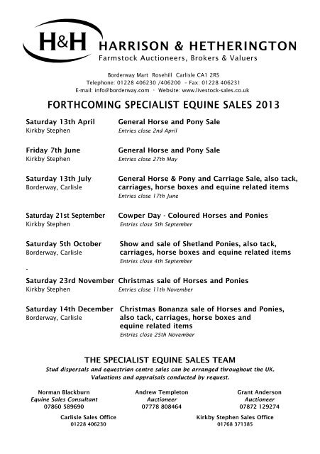 Special Spring Shetland Pony Sale and General Horse Sale